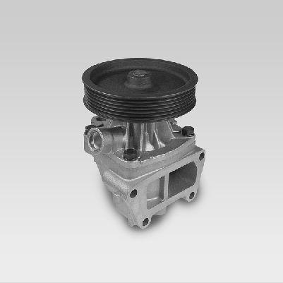 HEPU P847 Water Pump