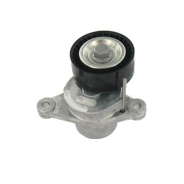 SKF VKM33062 V-Ribbed Belt Tensioner Pulley