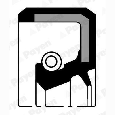 PAYEN NJ378 Crankshaft Shaft Seal