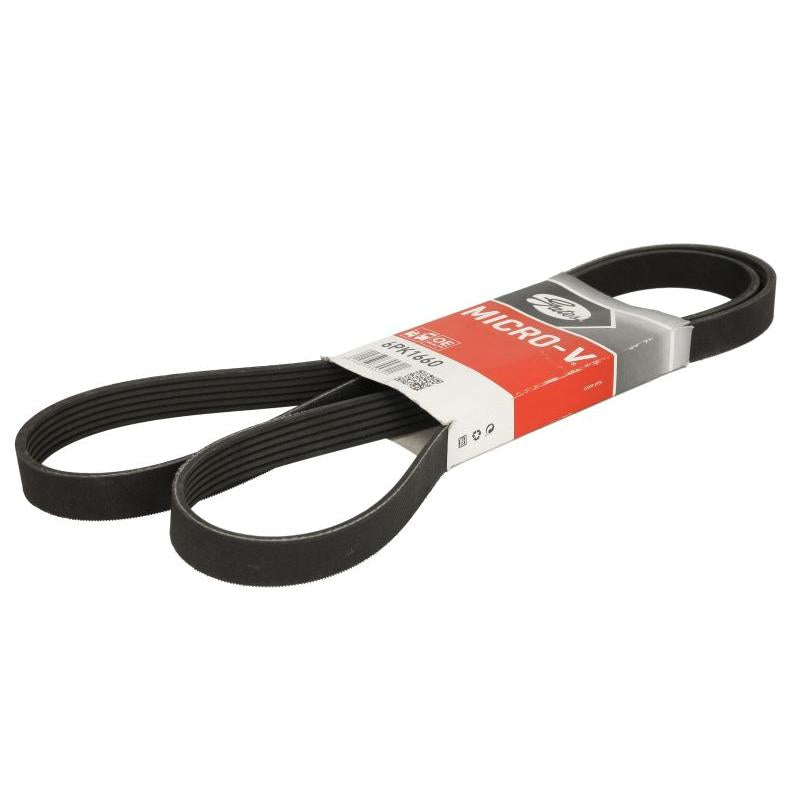 GATES GAT6PK1660 V-Ribbed Belt