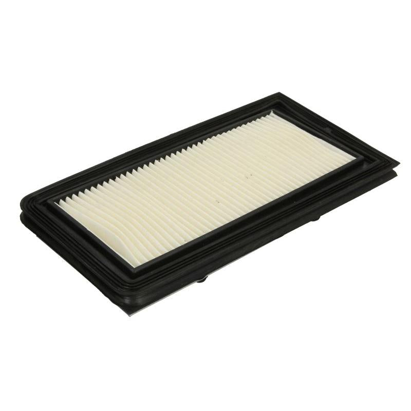 RMS 100602721 Air Filter