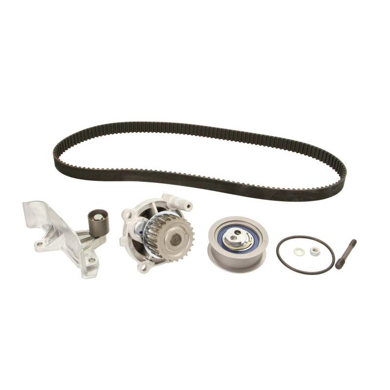 INA 530054631 Water Pump & Timing Belt Kit