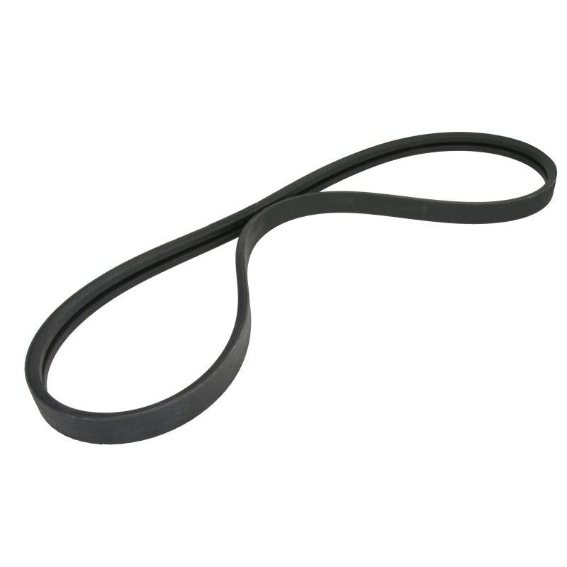 OPTIBELT 1003593AP V-Ribbed Belt