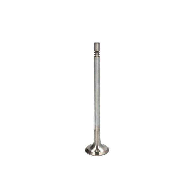 TRW 291134 Exhaust Valve