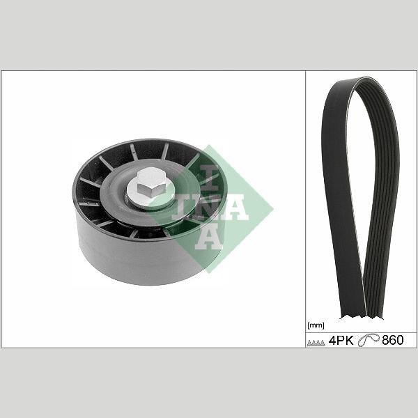 INA 529039210 V-Ribbed Belt Set