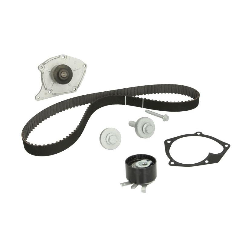 INA 530019730 Water Pump & Timing Belt Kit