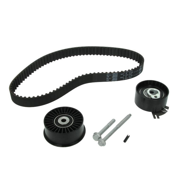 INA 530019810 Timing Belt Set