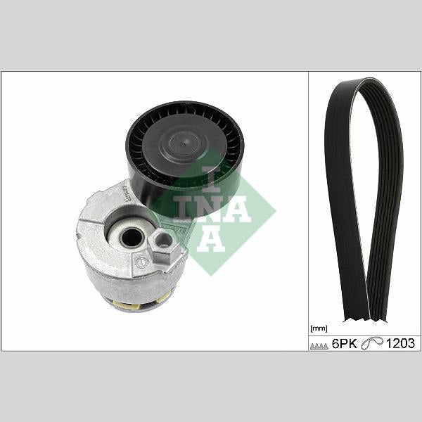 INA 529000910 V-Ribbed Belt Set