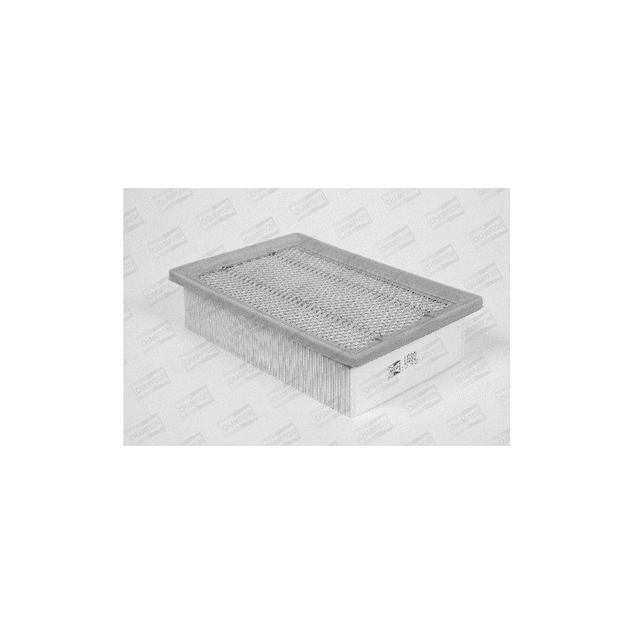Champion U680/606 Air Filter