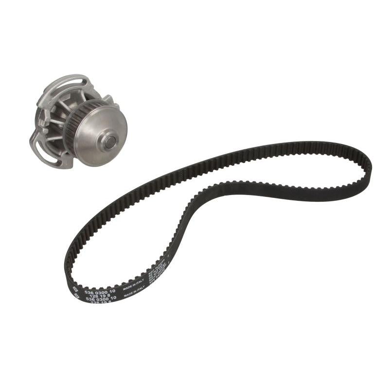 INA 530058630 Water Pump & Timing Belt Kit