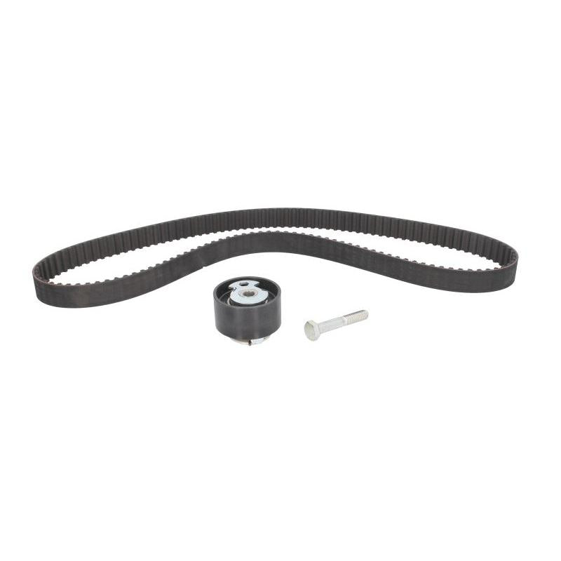 INA 530014310 Timing Belt Set