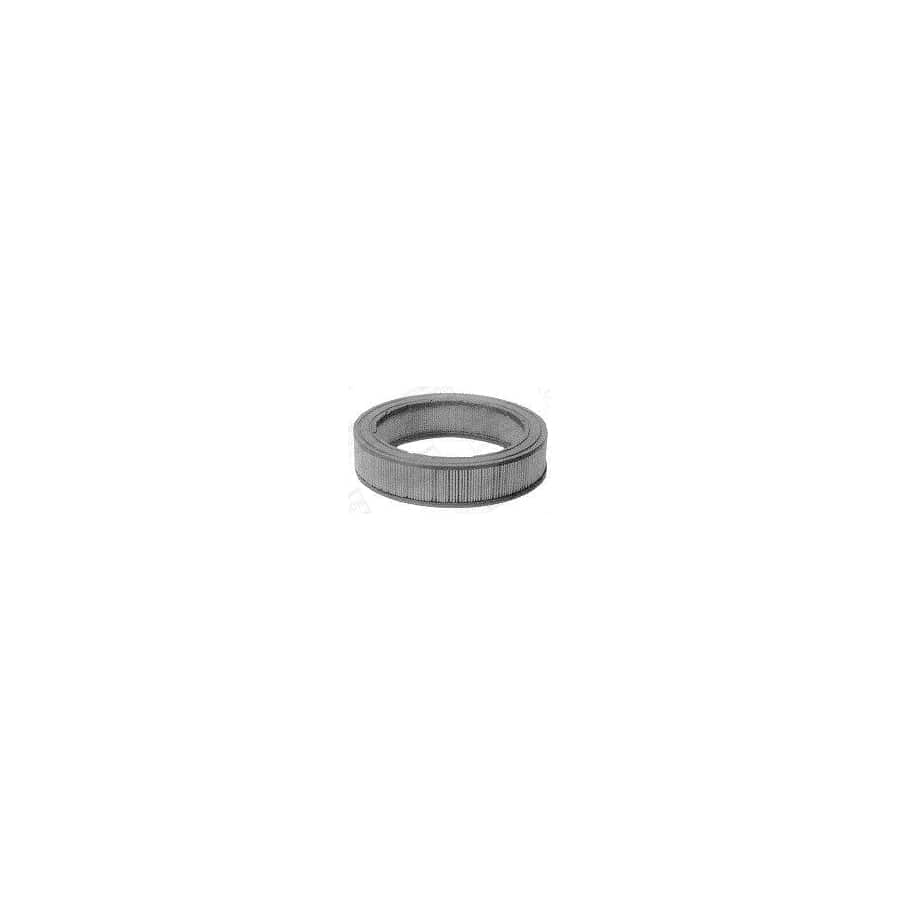 Champion W203/606 Air Filter for Ford Transit