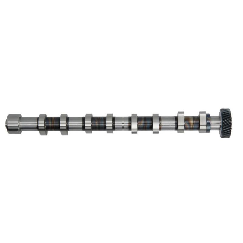 INA 428009810 Camshaft