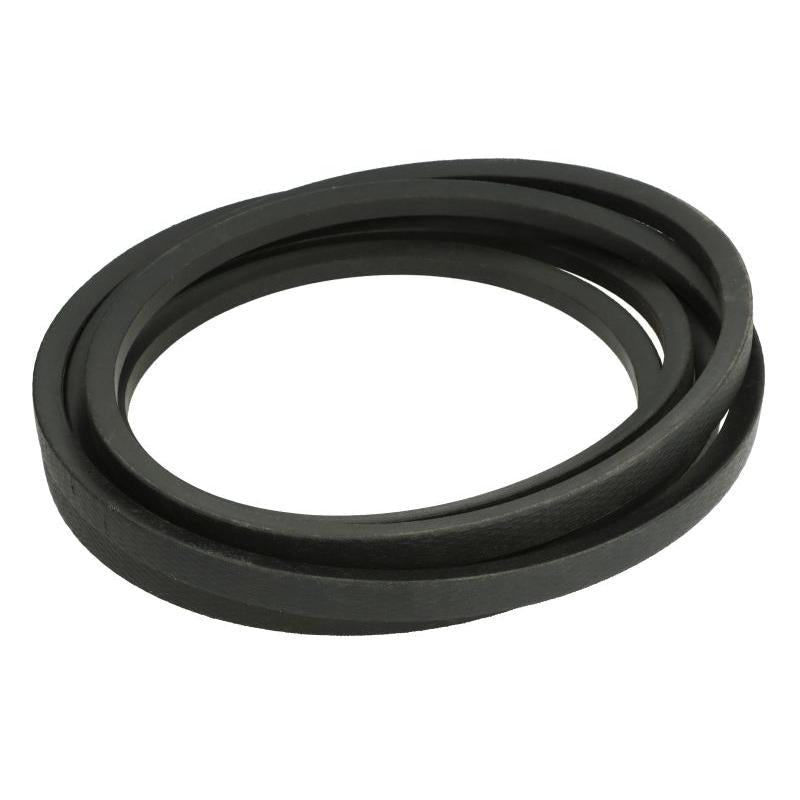 OPTIBELT 1000824AP V-Belt