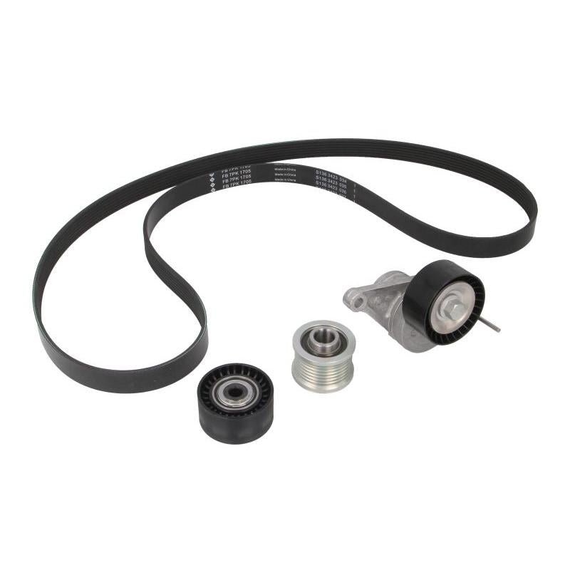 INA 529042320 V-Ribbed Belt Set