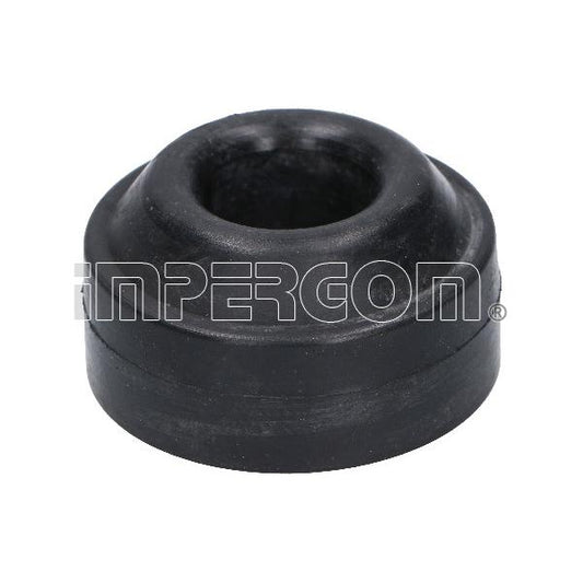 IMPERGOM IMP37562 Control/Trailing Arm Mounting
