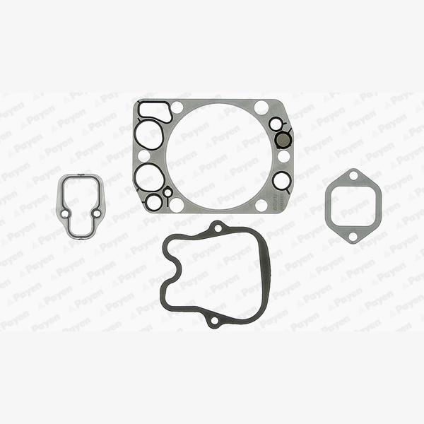 PAYEN DG855 Cylinder Head Gasket