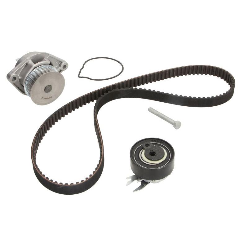 INA 530019930 Water Pump & Timing Belt Kit