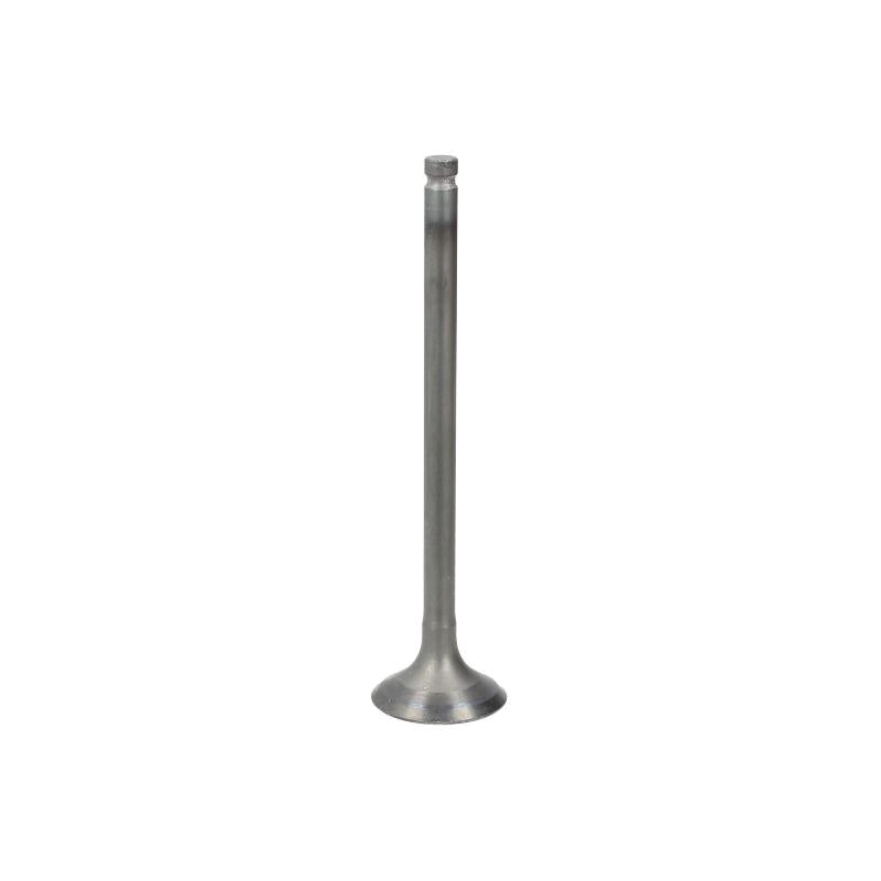 VESRAH GG-4028-EX Exhaust Valve
