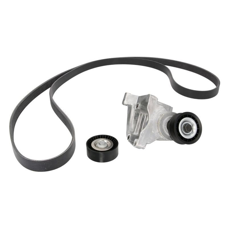 INA 529000710 V-Ribbed Belt Set