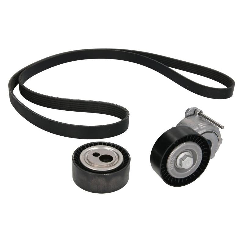 INA 529001710 V-Ribbed Belt Set