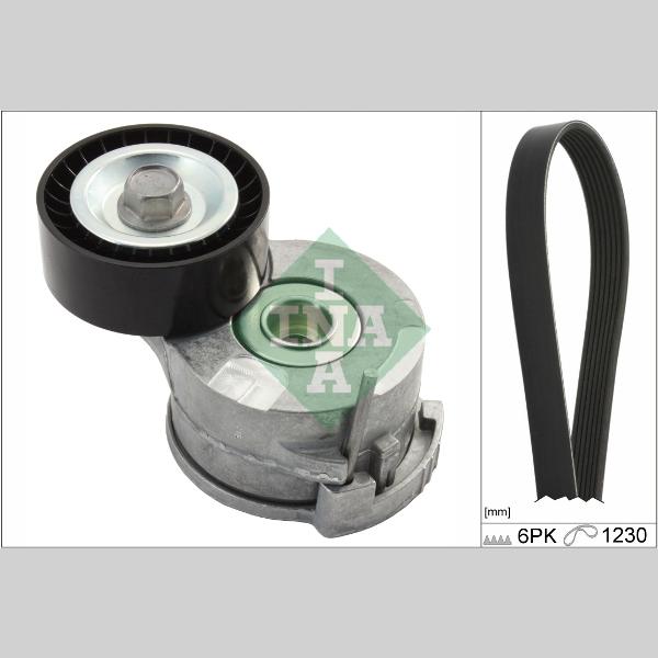 INA 529029210 V-Ribbed Belt Set