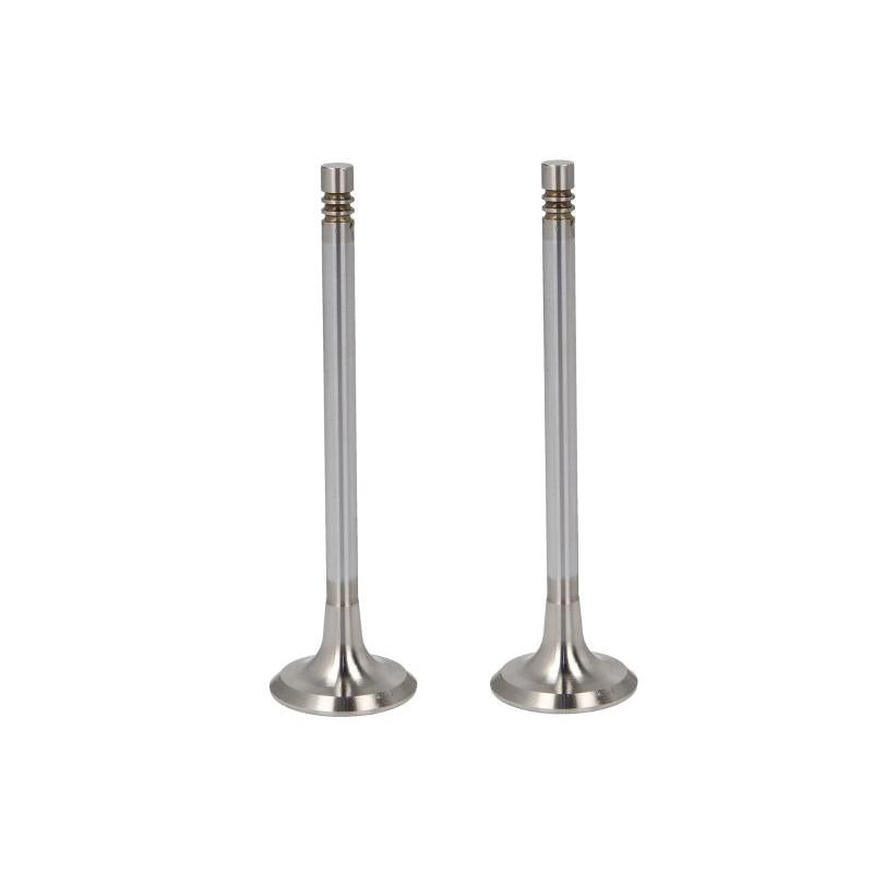 TRW 22165 Exhaust Valve