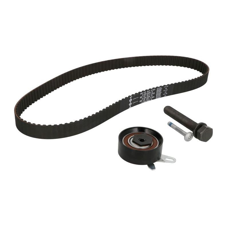 INA 530017510 Timing Belt Set