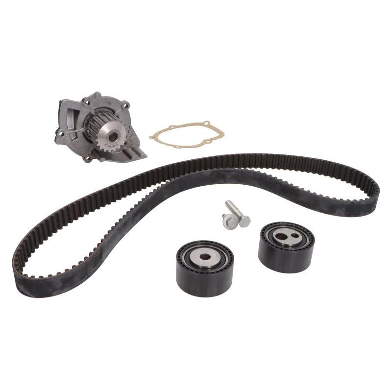 INA 530044730 Water Pump & Timing Belt Kit