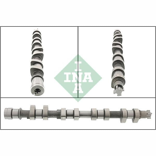 INA 428021310 Camshaft