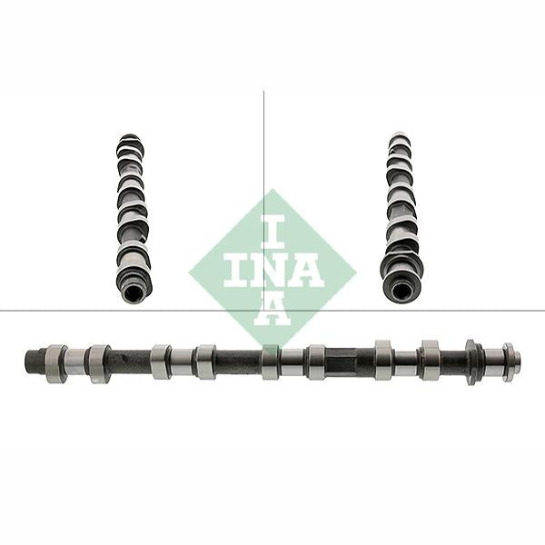 INA 428019610 Camshaft