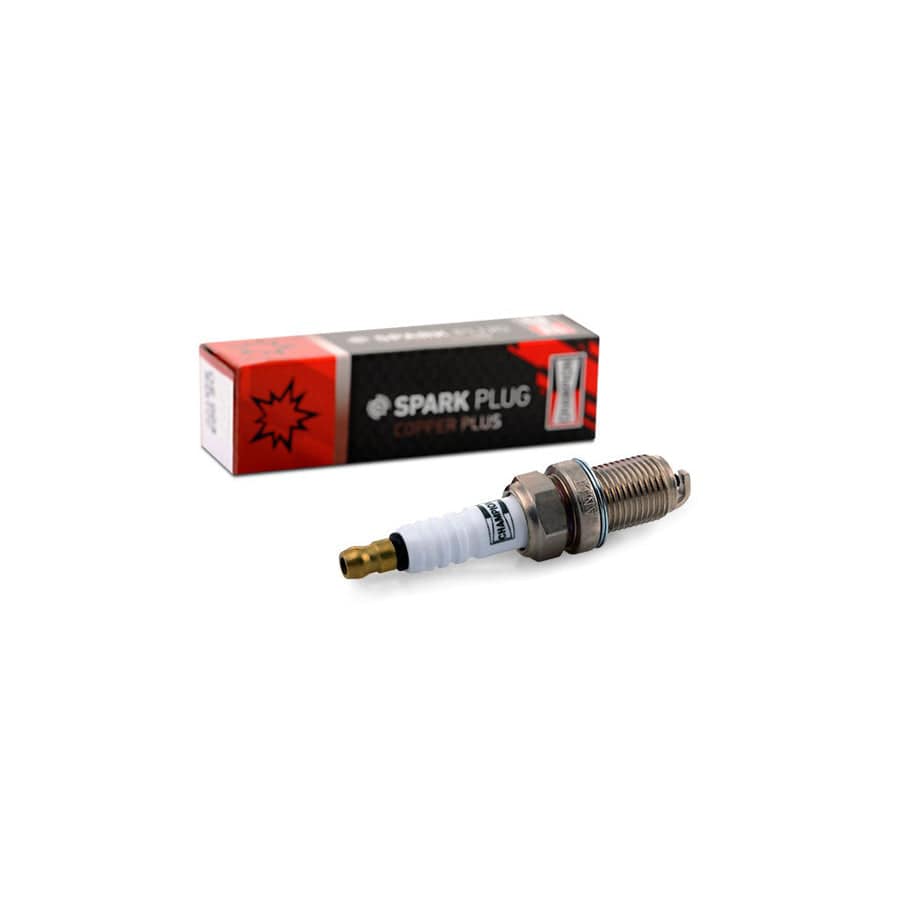 Champion Oe002 Spark Plug