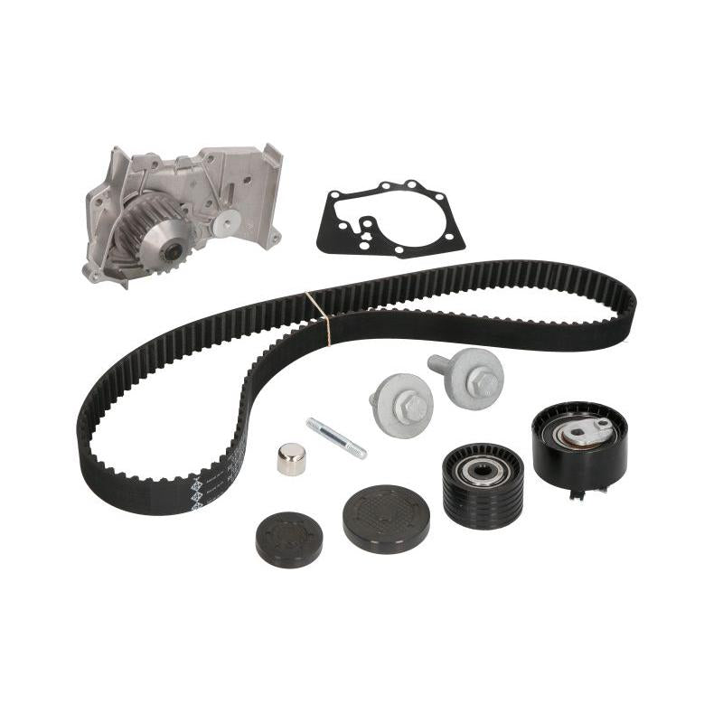 INA 530063930 Water Pump & Timing Belt Kit
