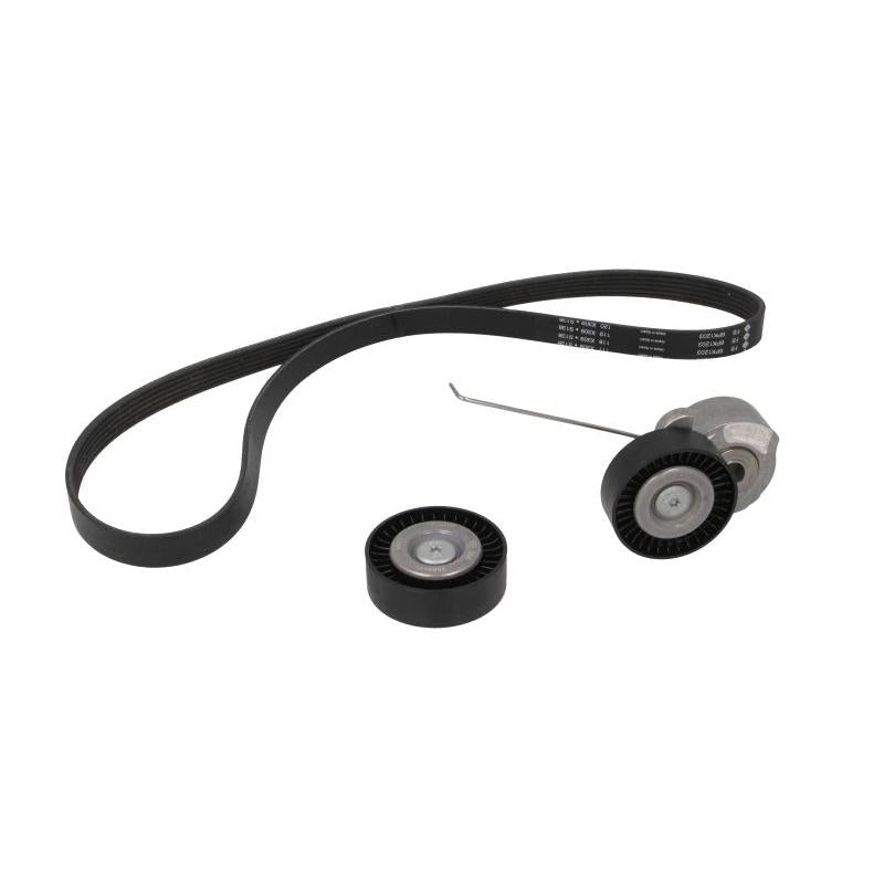 INA 529032010 V-Ribbed Belt Set