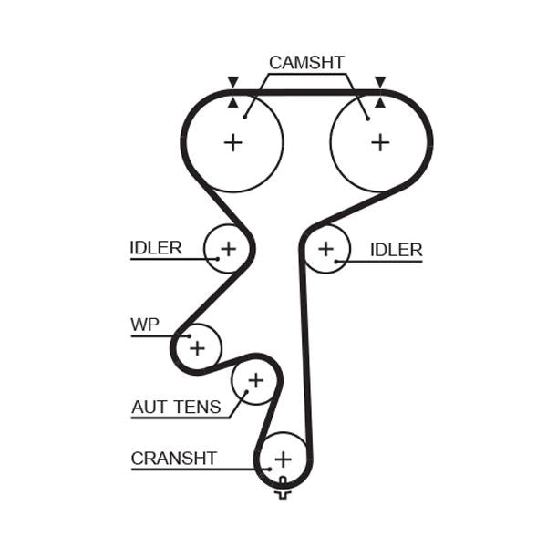 GATES GAT5542XS Timing Belt