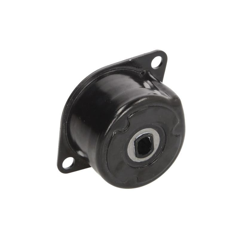 INA 534017210 V-Ribbed Belt Tensioner Lever