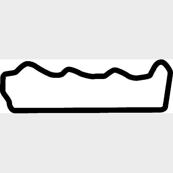 CORTECO CO023210P Cylinder Head Cover Gasket