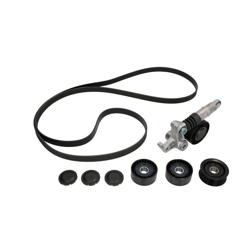 INA 529020910 V-Ribbed Belt Set
