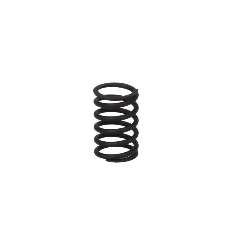 PARSUN F15-07040005 Valve Spring