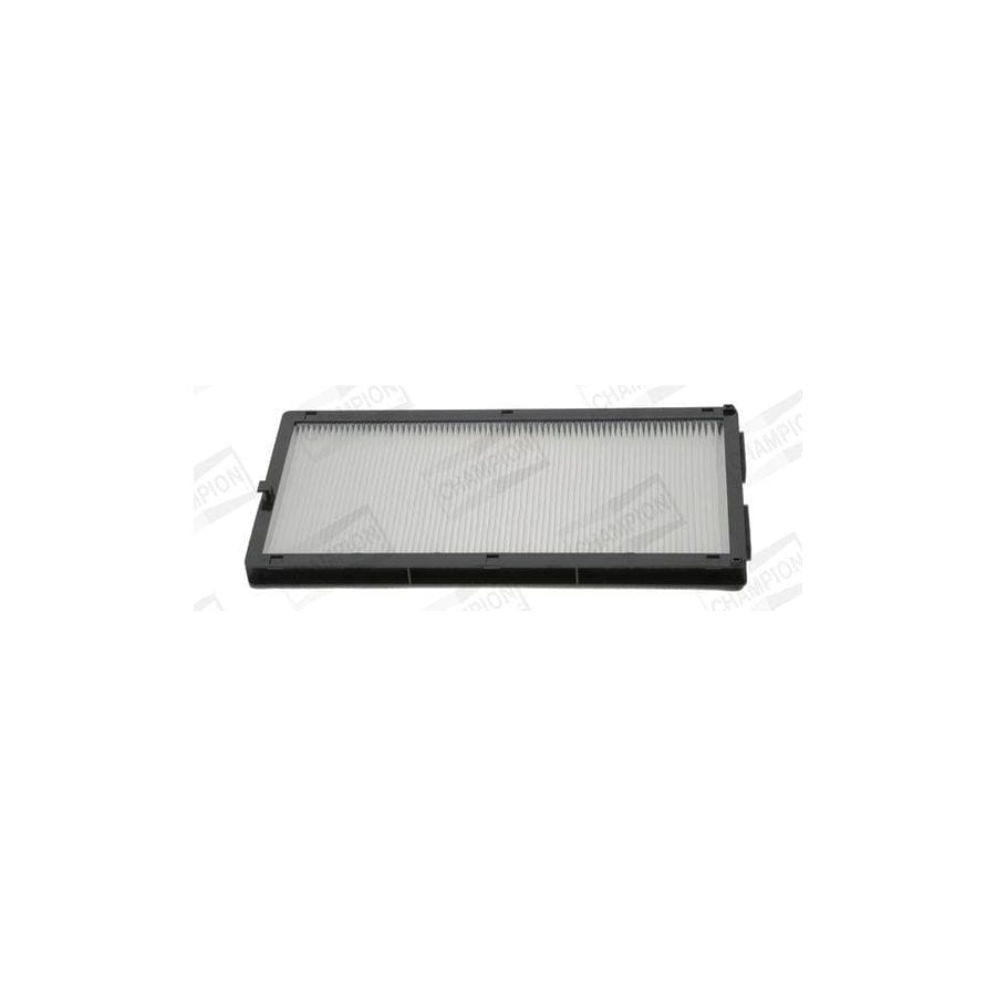 Champion Ccf0219 Pollen Filter