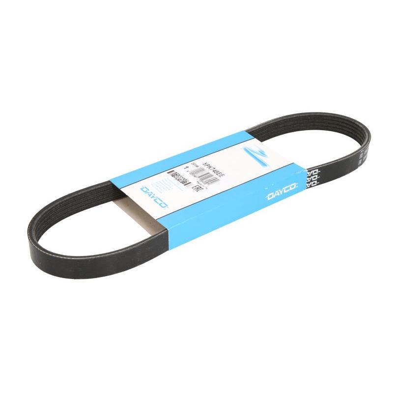 DAYCO DAY5PK748EE V-Ribbed Belt