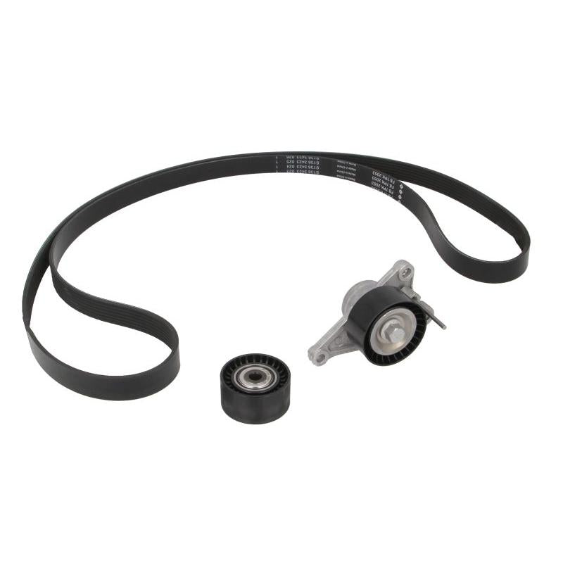 INA 529035210 V-Ribbed Belt Set