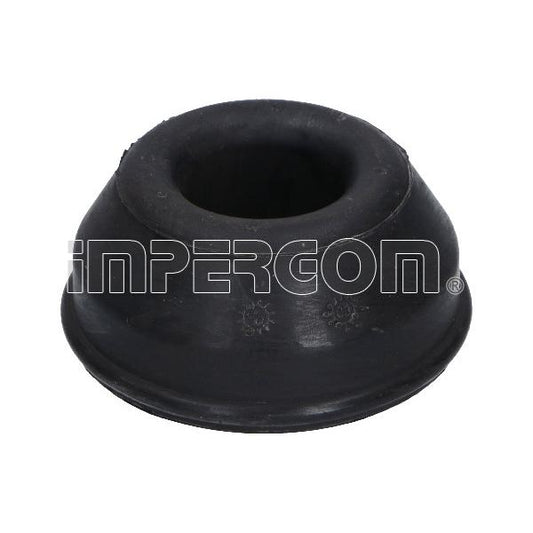 IMPERGOM IMP37561 Control/Trailing Arm Mounting