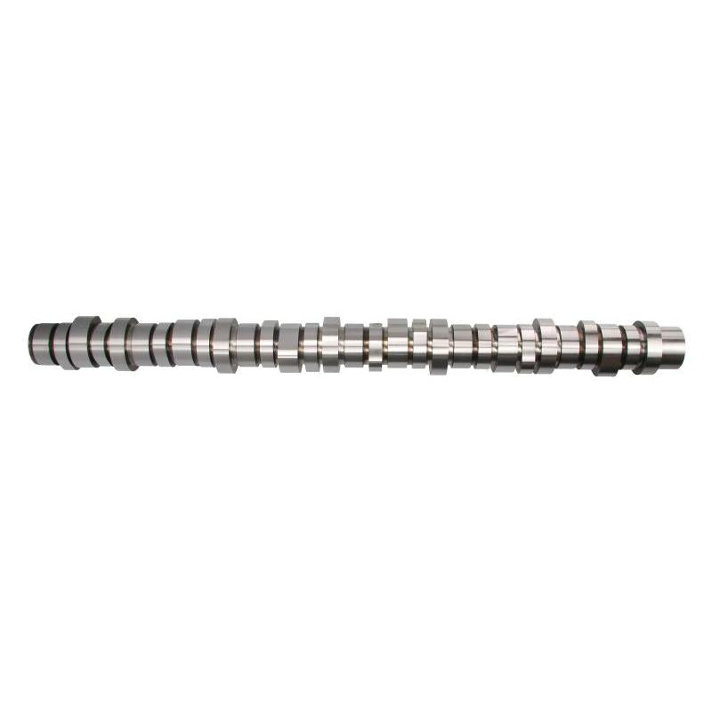 BF 20100413004 Camshaft