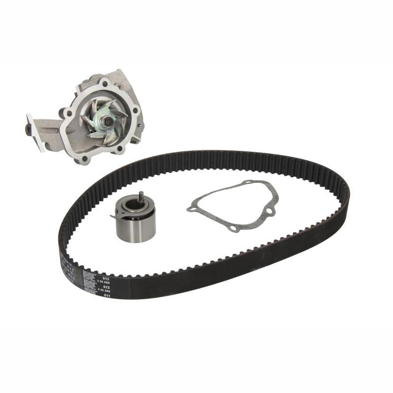 INA 530045330 Water Pump & Timing Belt Kit