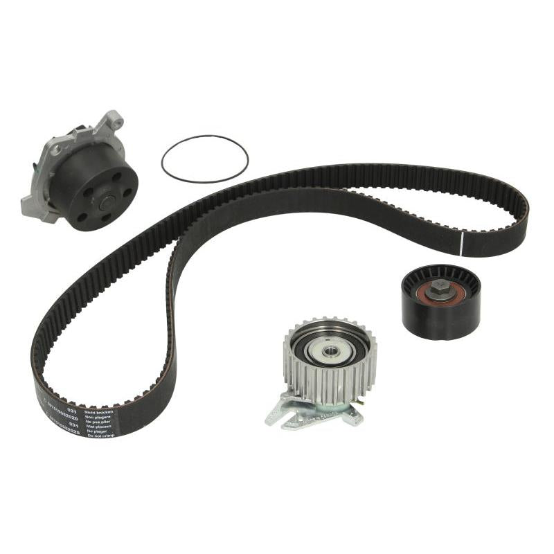 INA 530022730 Water Pump & Timing Belt Kit
