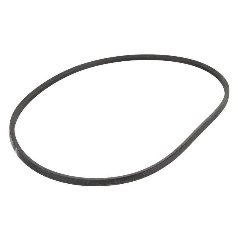 OPTIBELT 1003324AP V-Belt