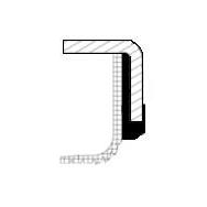 CORTECO CO19036694B Crankshaft Shaft Seal