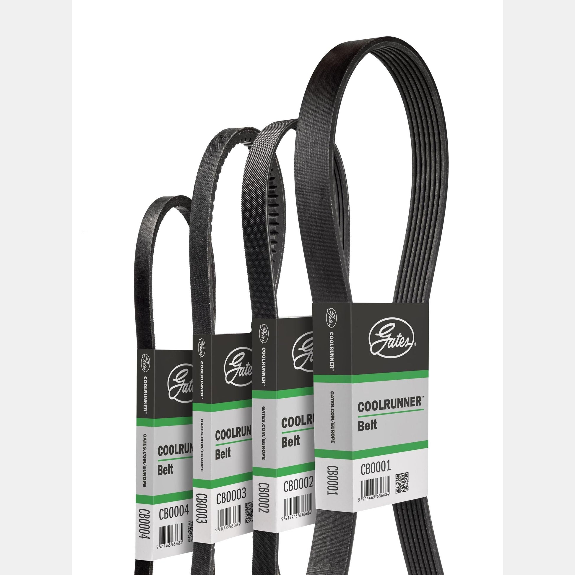 GATES GATCB0034 V-Belt