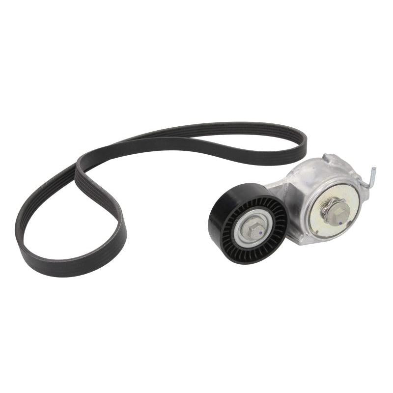 INA 529001310 V-Ribbed Belt Set